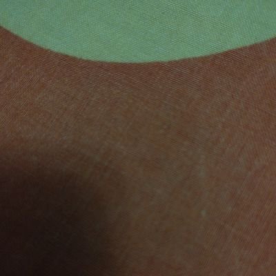 StayAtHomePlz's profile picture. Alternate Ego Account | Pakistan Zindabad | Karachiite | Poitics101