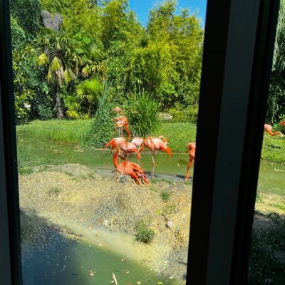 Beinmonyu's profile picture. Invincibles!!