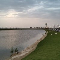 حمدان (@hamdanalqarni12) Twitter profile photo