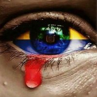 Peluche 🇨🇴-🇨🇦(@MarinNaran) 's Twitter Profile Photo