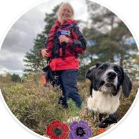 Trainee_searchdog_Rafi💙(@Rafi9lives) 's Twitter Profile Photo