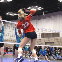 Jersey Loyer (@jerseyloyer) 's Twitter Profile