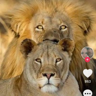 info233007's profile picture. 