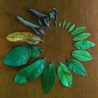 Amazing or Whatever (@dohjc_) 's Twitter Profile Photo Amazing or Whatever (@dohjc_) 's Twitter Profile Photo