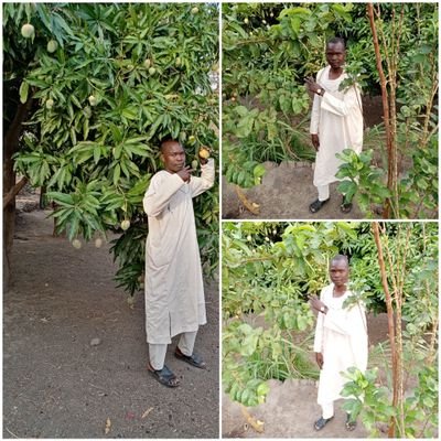 siddig_bukhari's profile picture. teacher
