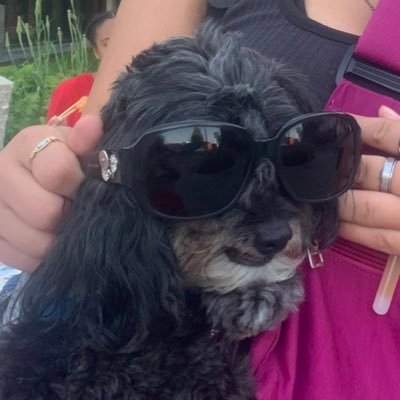 not_wildebeast's profile picture. 24/7 vibe maestro