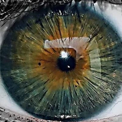 CmonicaMcgrath's profile picture. she/her
#Horror 
#Musician
#photographer
#scorpio
Living life and prospering since 1989👊✌💜