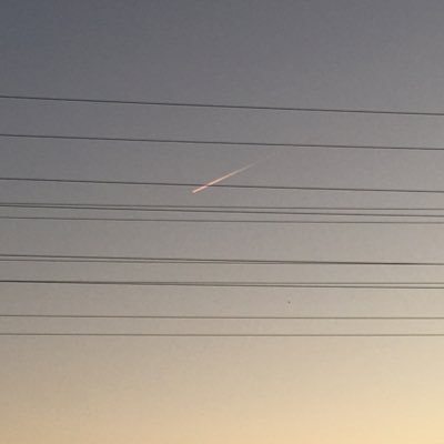 jonarr12's profile picture. 👑