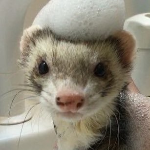 일단さんのプロフィール画像