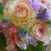 B50009 (@b500091) Twitter profile photo B50009 (@b500091) Twitter profile photo