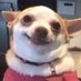 faccio quello che voglio (@accountdapazza) Twitter profile photo faccio quello che voglio (@accountdapazza) Twitter profile photo