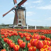 tunkay (@tunkaymhps) 's Twitter Profile