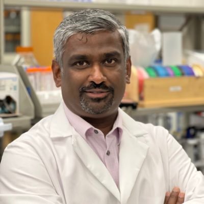 Prof@ouhsc, CVD research, hematopoiesis, inflammation, inflammasome and anything and everything about neutrophils!