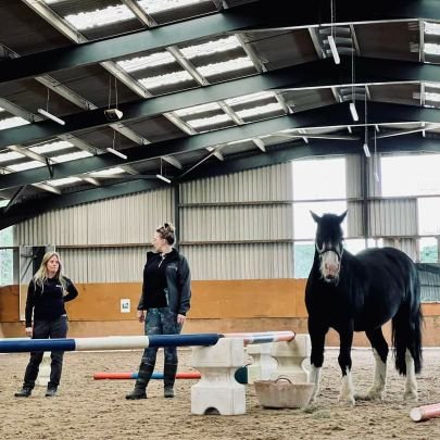 KatieScottDyer's profile picture. Suburban rebel rebel ⚡ clinical animal behaviourist
Est.2004
🐈 cat behaviour
🐕 Dog behaviour
🐀🐦🐇🐎 Companion pet behaviour

@IAABC @DogsTrust @APBC