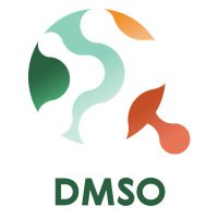 Digital Media and Society Observatory (DMSO) (@dmso_unifesp) 's Twitter Profile
