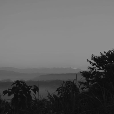 J64528546's profile picture. 