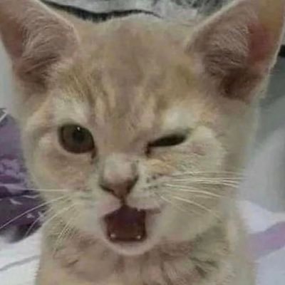men are evil and women are evil. im the only good person in the entire world
