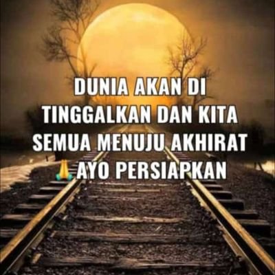 Echa44014850's profile picture. 