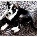 teddy whitaker - @TeddyWhit321 - Twitter