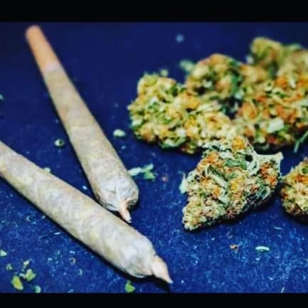 IsaacTenkoran16's profile picture. 