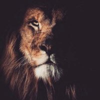 Ennis AVID (@ennisavid) 's Twitter Profile Photo Ennis AVID (@ennisavid) 's Twitter Profile Photo