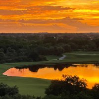 Brenda (@brenda17445136) 's Twitter Profile Photo