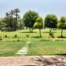 Naeem99618640's profile picture. Landscape expert