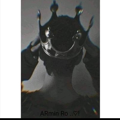 Armino1412 Profile Picture