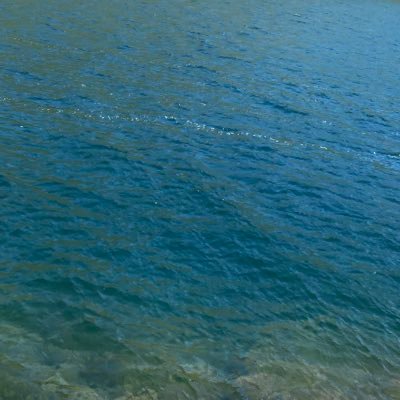 watch_ncaa's profile picture. NCAA D1 Hoopers to keep an eye on