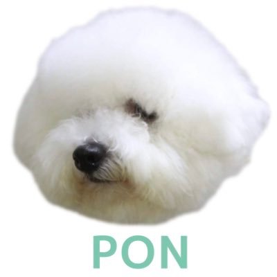 ponkun1214 Profile Picture