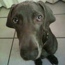 Miguel Tarin - @mtarin76 - Twitter