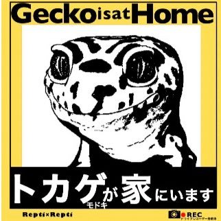 はちゅうるいのステッカー屋さん🦎さんのプロフィール画像