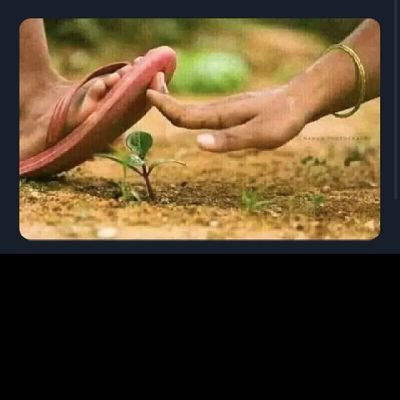 SustainableAll1's profile picture. Environmentalist