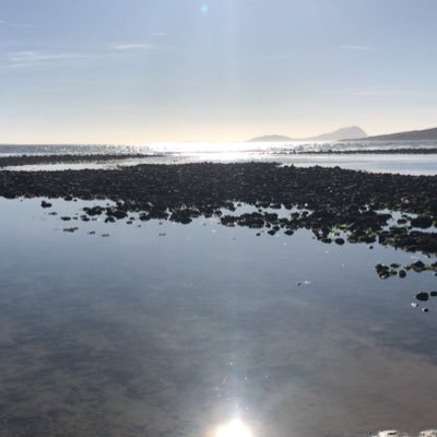 orlsmcl's profile picture. Primary school principal, DEIS 1, Tallaght. Escape to the west as much as I can!