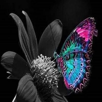 erhan9352's profile picture. Bir ömür boyu koşarsın, yetişdiğin sâdece nasîbindir.