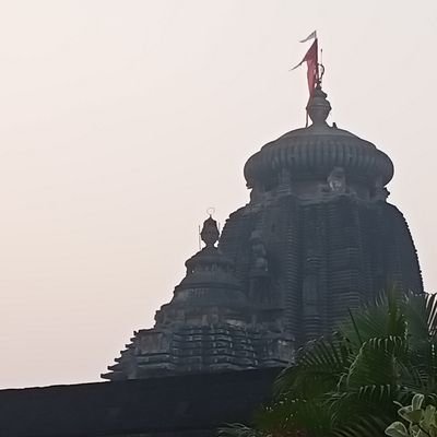 soumya7852's profile picture. always happy 🤗🤗