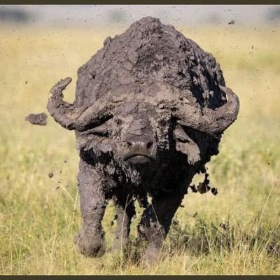 12longmohatla's profile picture. They made us HATE ourselves and LOVE their wealth. Just tryin' to make it to the table.