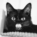 Knob (@___n_ob_u_____) Twitter profile photo Knob (@___n_ob_u_____) Twitter profile photo