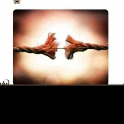 gregoryklevi's profile picture. This, that & more.