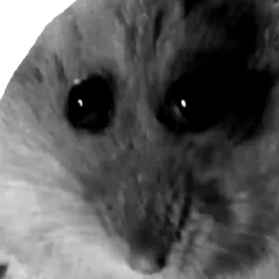 Sanik Teh Hedgeさんのプロフィール画像