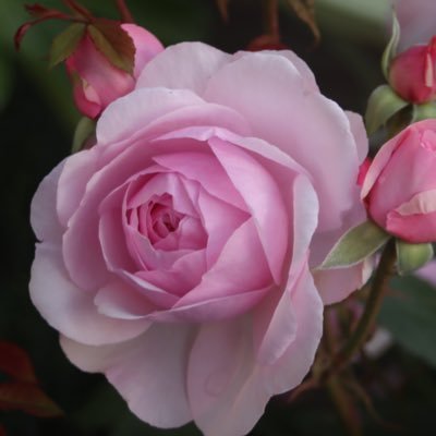rodgers_rodgers's profile picture. Expert Funder