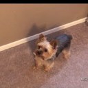 Teddy Fowler - @Teddy__Bear07 - Twitter