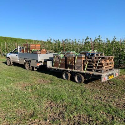 Purveyors of finest Sevenoaks and North Downs Honey 🐝