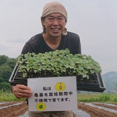 Tweets With Replies By 新温泉えごま農園 いつまでも健康でしあわせな生活を 兵庫県産えごま農家 Tazima Farm Twitter Tweets With Replies By 新温泉えごま農園 いつまでも健康でしあわせな生活を 兵庫県産えごま農家 Tazima Farm Twitter