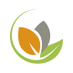 ForestFinance (@forestfinancede) Twitter profile photo ForestFinance (@forestfinancede) Twitter profile photo