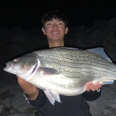 Dominikstier5's profile picture. 