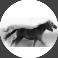 رفـعـه النمـاصـي (@refah_aln) 's Twitter Profile