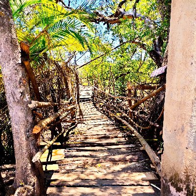 chumba_joy's profile picture. Sister and daughter
Human Resource Specialist| Talent Acquisition
Art beat
@frendytrendy
#God centered life