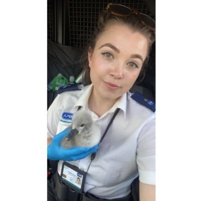 • Animal Rescue Officer for the RSPCA 🐾💙✨• For sick or injured animals and cruelty reports please call 0300 1234999 🐶🐱🐰🦆🦊🐍🦢 Instagram - aroHannahw