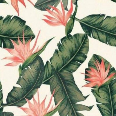 msshellm's profile picture. 
